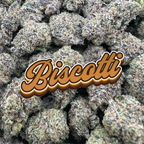 Biscotti - Hybrid (Indoor)