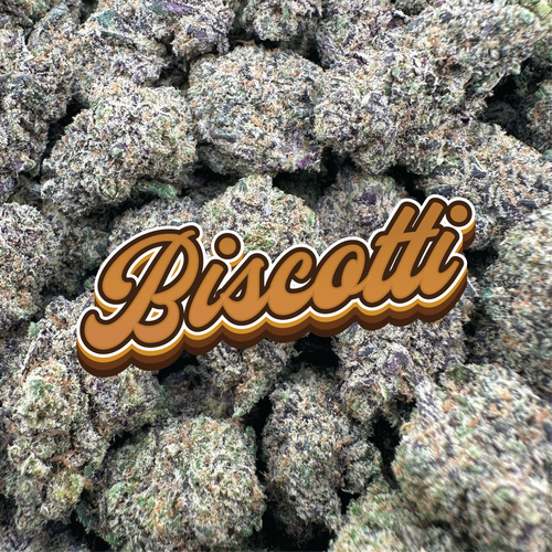 Biscotti - Hybrid (Indoor)