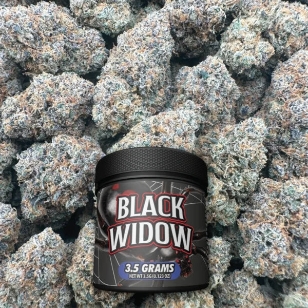Black Widow - Hybrid (LIGHT DEP)