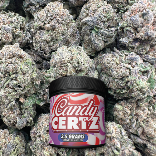 Jar of 'Candy Certz' on a background of buds