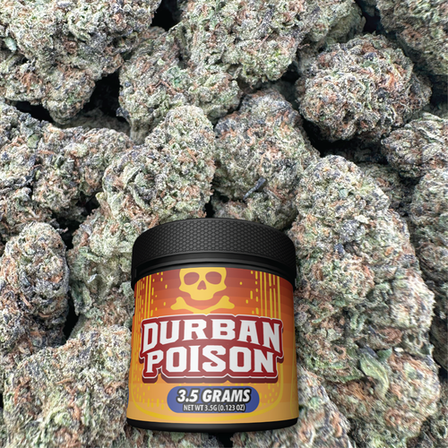 Container labeled 'Durban Poison' surrounded by buds