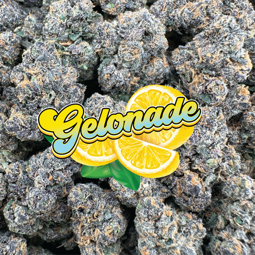 Gelonade - Hybrid (Indoor)