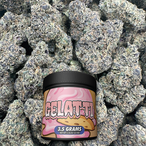 Jar labeled 'Gelatii' in front of flower