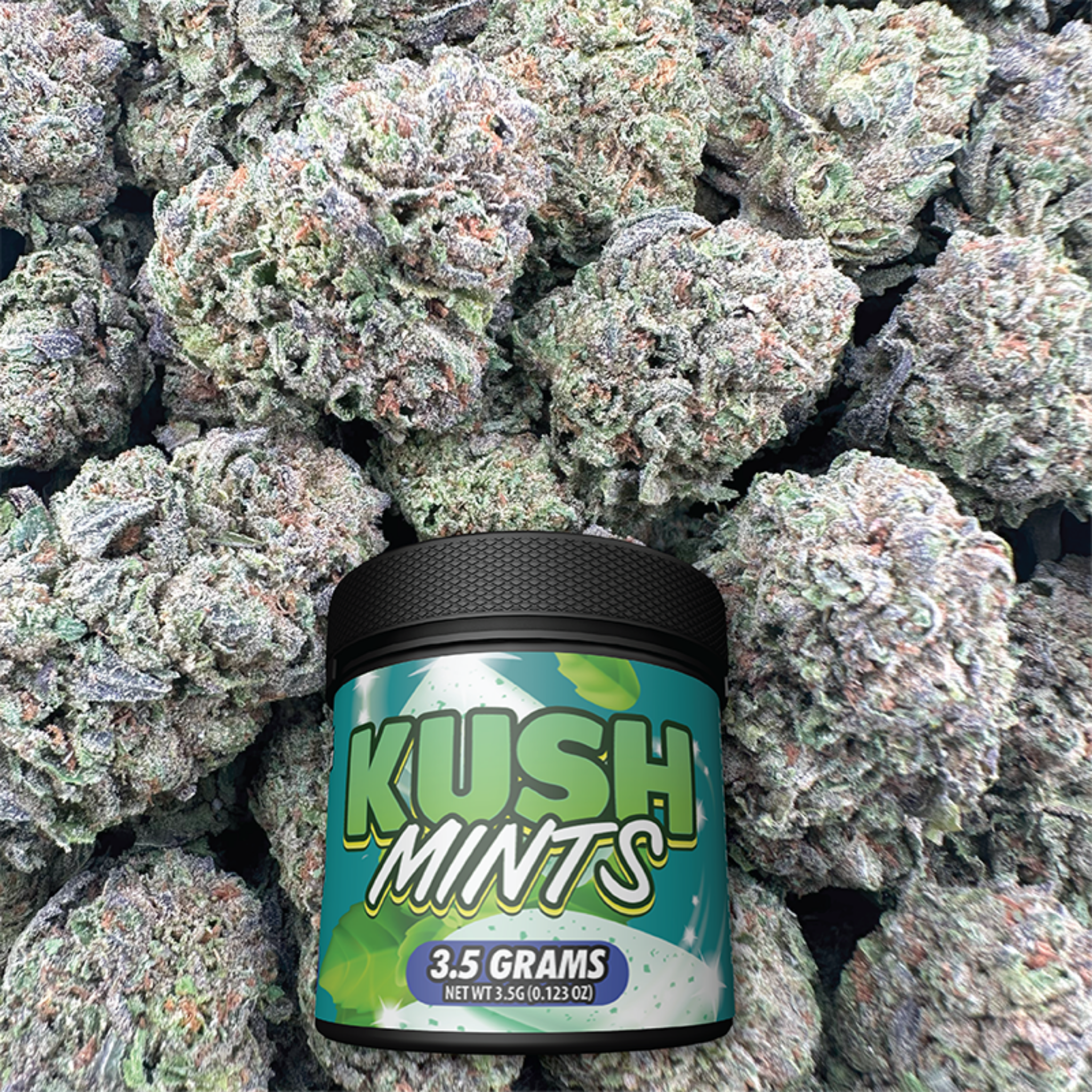 Container labeled 'Kush Mints' surrounded by buds