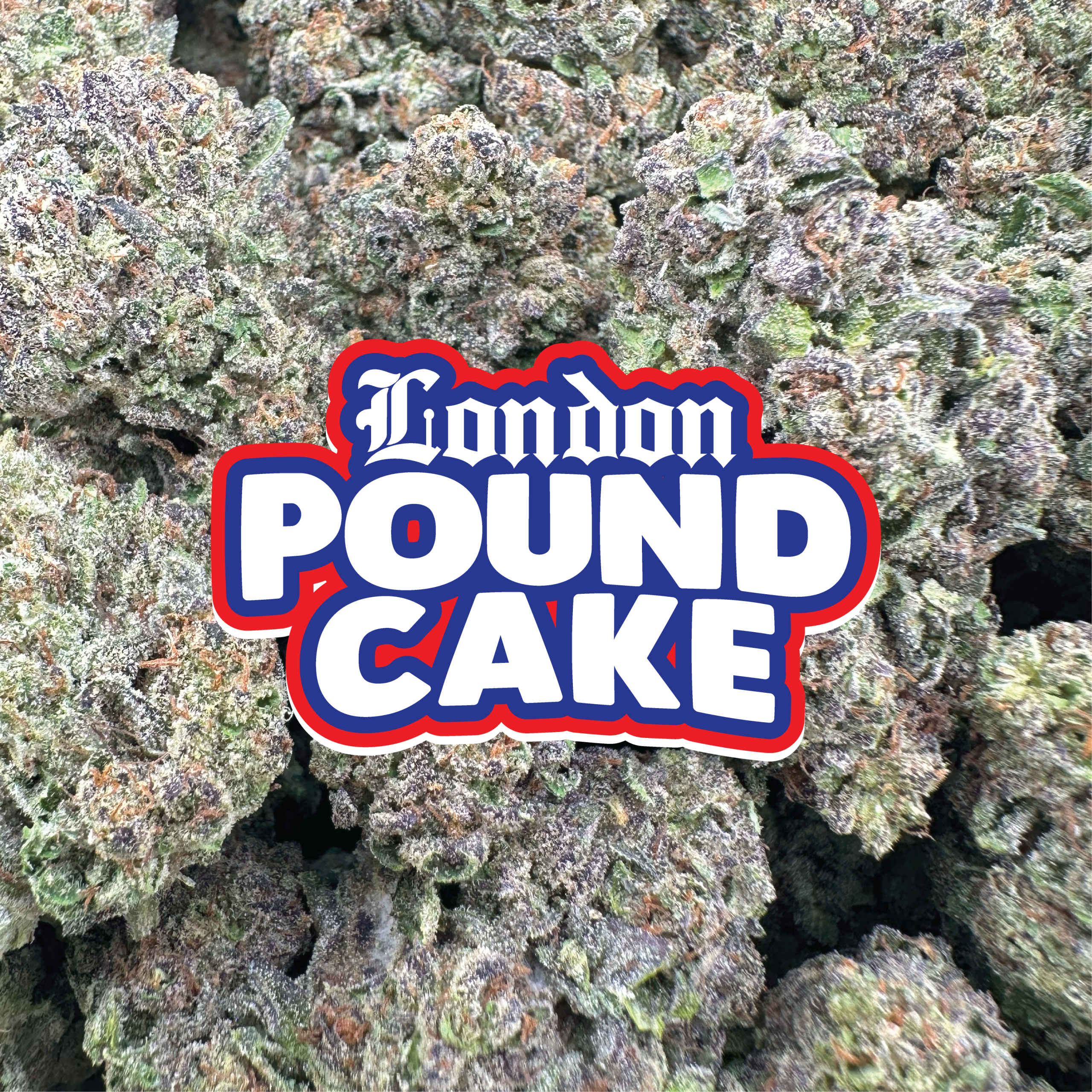 London Pound Cake - Hybrid (Light Dep)