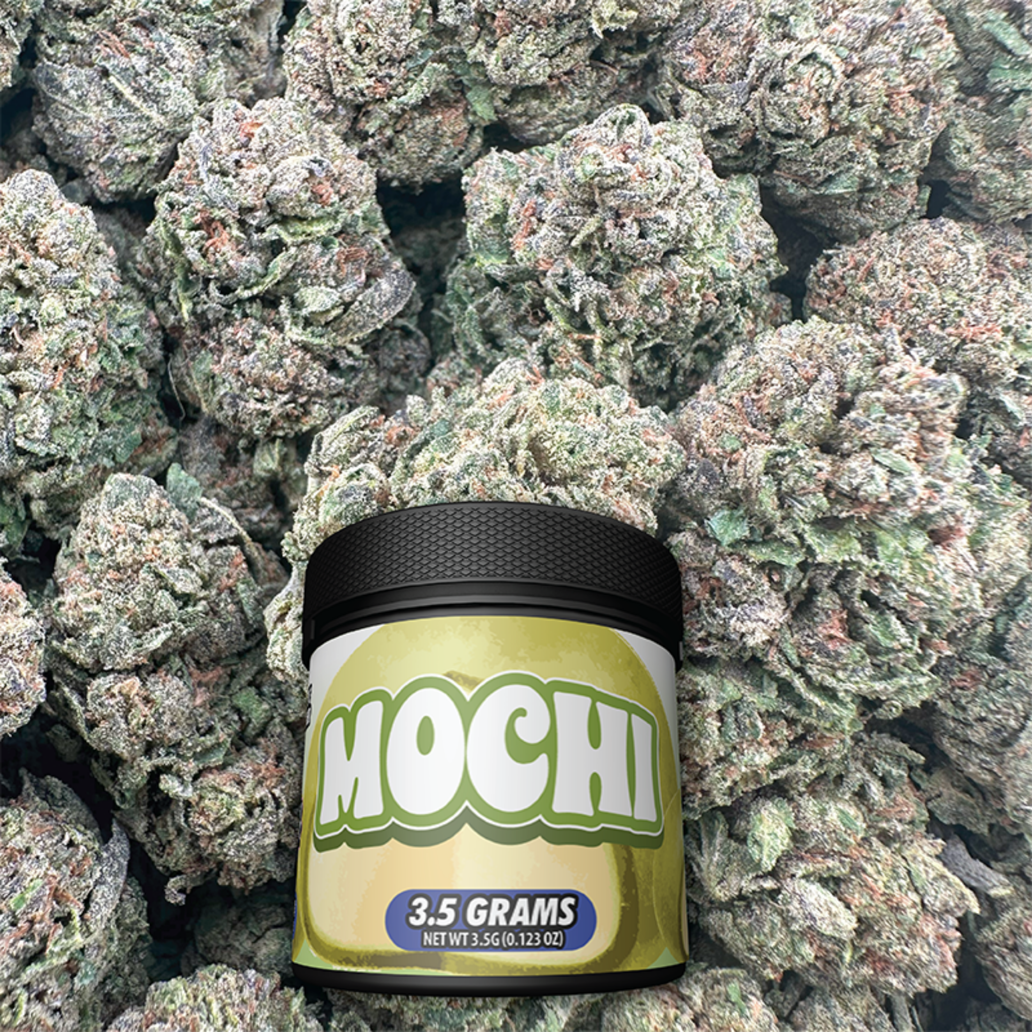 Jar labeled 'Mochi' surrounded by buds