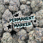 Permanent Marker - Indica (Indoor)