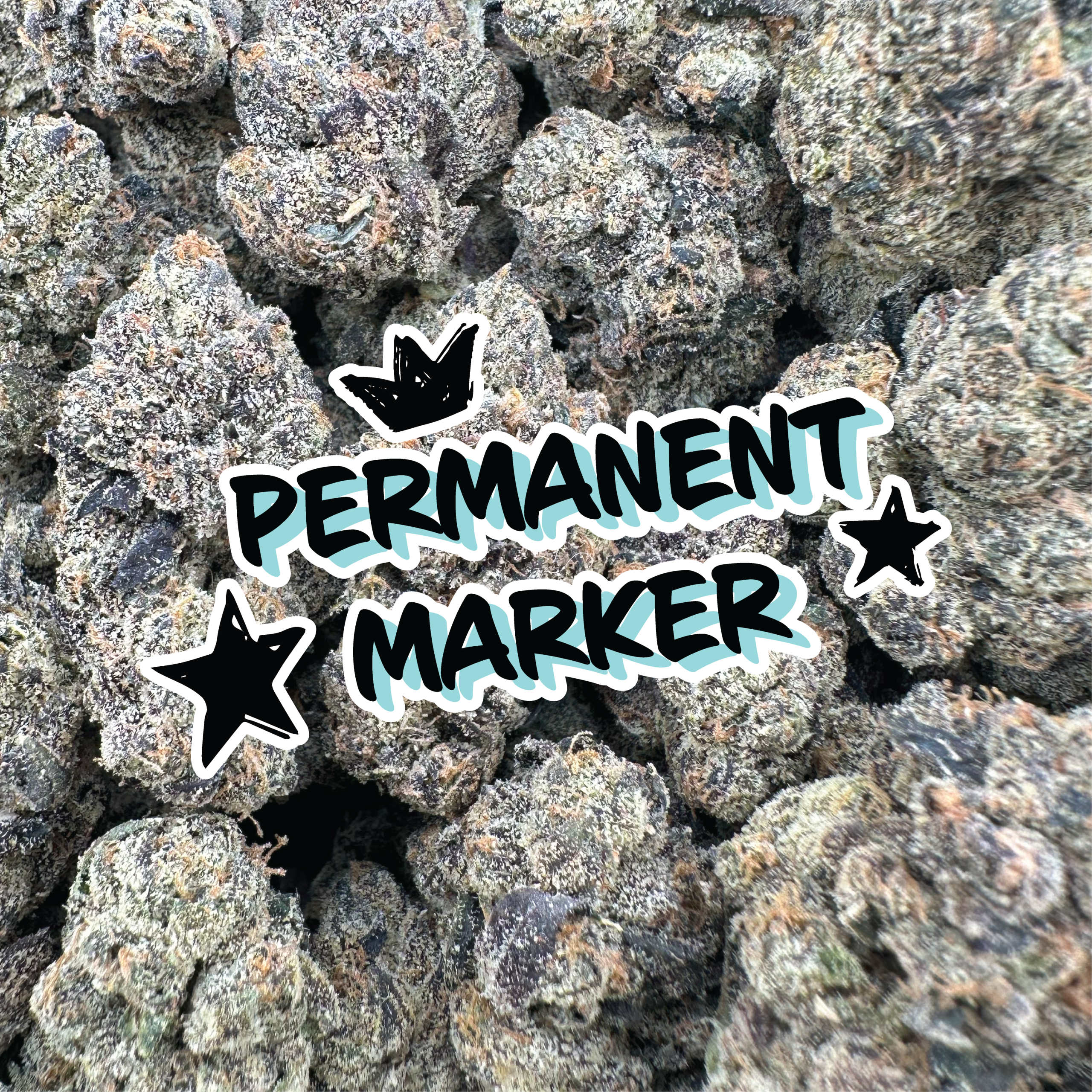 Permanent Marker - Indica (Indoor)