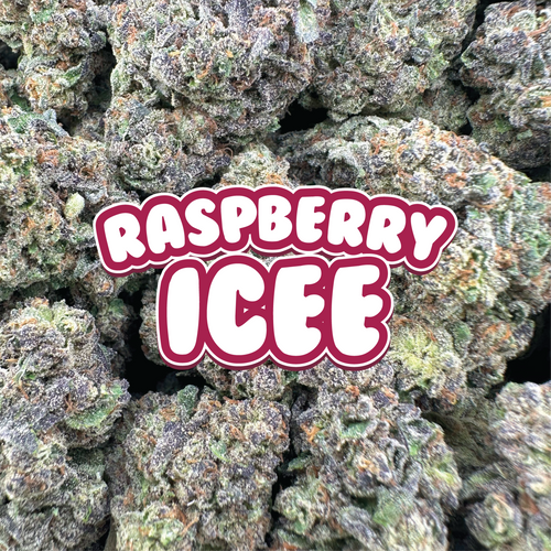 Raspberry Icee - Hybrid (Light Dep)