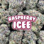 Raspberry Icee - Hybrid (Light Dep)