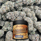 Biscotti - Hybrid (Indoor)
