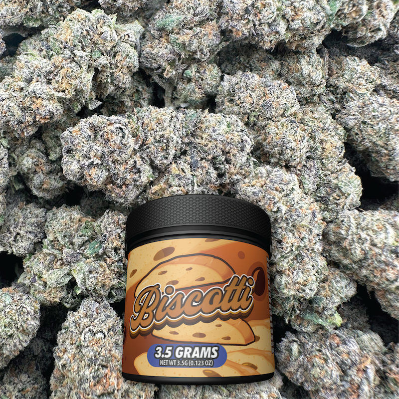 Biscotti - Hybrid (Indoor)