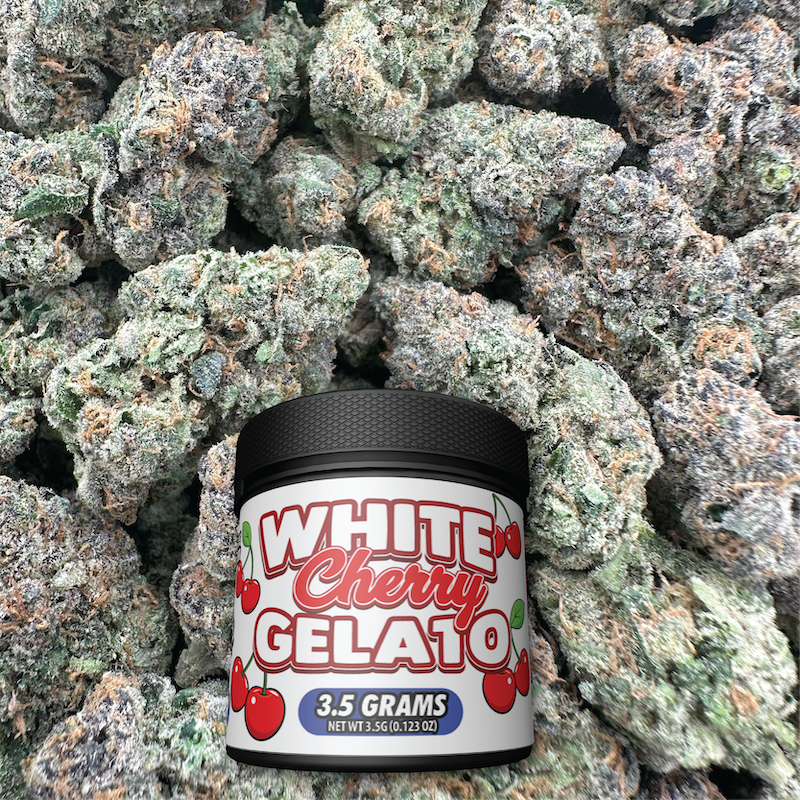 White Cherry Gelato - Hybrid (Indoor)