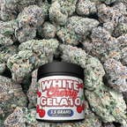 White Cherry Gelato - Hybrid (Indoor)