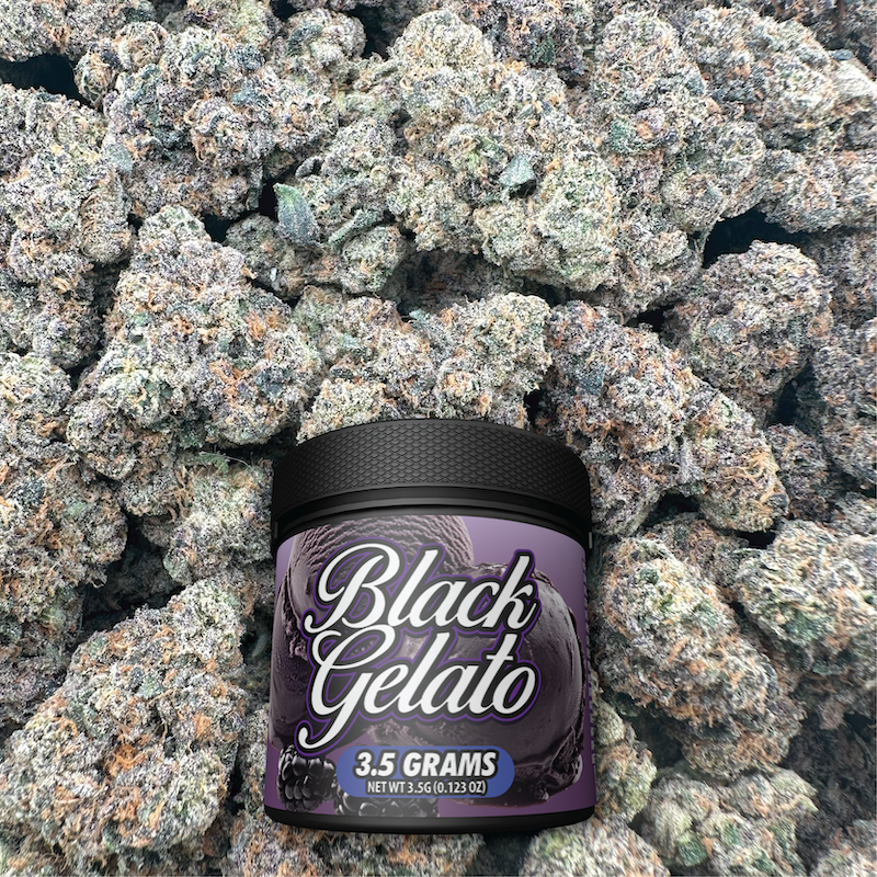 Black Gelato - Hybrid (Indoor)