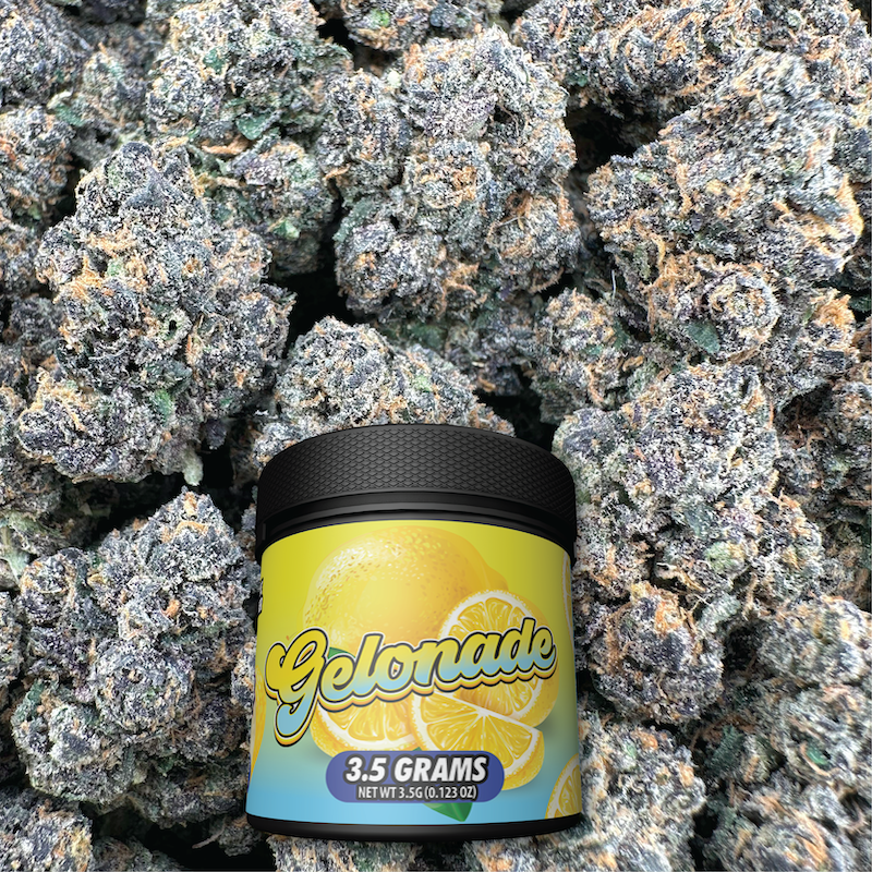 Gelonade - Hybrid (Indoor)